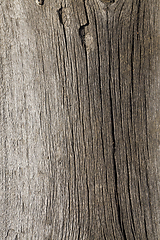 Image showing abstract wooden surface