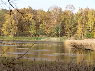 Image showing autumn pond