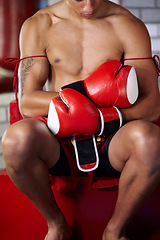 Image showing Getting ready, fitness and a man with gloves for boxing, gym training and exercise for a match. Club, health and a boxer, fighter or athlete with equipment for sports, martial arts or cardio fight