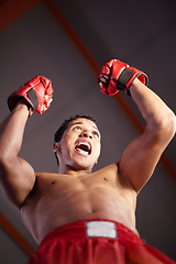 Image showing Celebration, excited and sports man, boxer or fighter happy for gym achievement, success or winning kickboxing contest. MMA winner, below view and warrior celebrate boxing, fight or muay thai victory