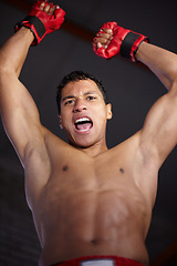 Image showing Celebration portrait, sports and MMA man scream, energy and cheers andfor gym achievement, success or kickboxing champion. Boxing winner, below view and boxer motivation, commitment and fight victory