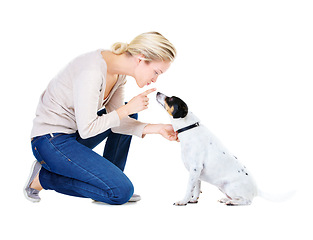 Image showing Woman, training and studio with dog or jack russell for silence, learning and care by white background. Girl, animal or pet puppy with teaching, discipline and loyalty on floor for domestic education