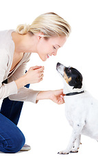 Image showing Woman, teaching and studio with jack russell dog for silence, learning and care by white background. Girl, animal or pet puppy with command, training and loyalty on floor for domestic education