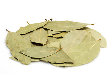 Image showing Bay leaves