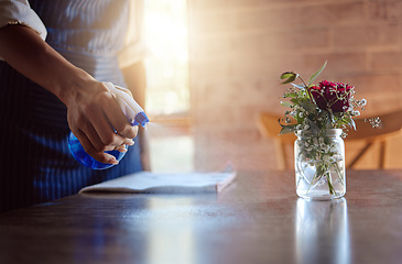 Image showing Hand, cleaning and coffee shop with a woman spraying a table in her restaurant for hygiene and sanitizing. Flowers, cafe and surface with a female employee washing inside for service and cleanliness