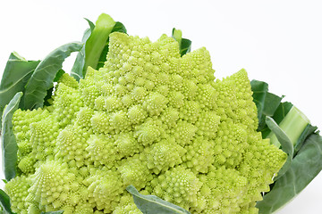 Image showing Romanesco_6