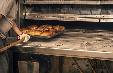 Image showing Baked breads from hot oven