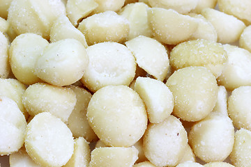 Image showing Macadamia