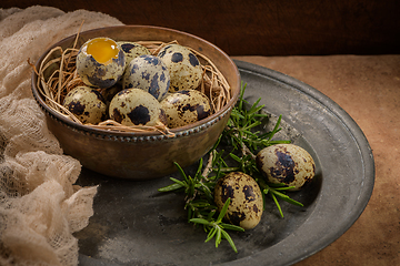 Image showing Fresh quail eggs