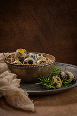 Image showing Fresh quail eggs