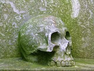 Image showing Stone skull