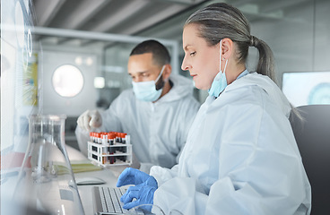 Image showing Scientist team, covid research and computer in a pathology lab while typing medical information, analysis and results. Chemist man and woman using technology and PPE for safety, health and wellness