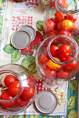 Image showing tomatos in jars prepared for preservation