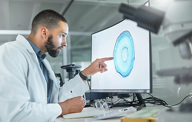 Image showing Brain development, lab research and scientist working on analysis of scan for healthcare science on a computer at work. Medical doctor doing innovation for future of medical neuroscience on pc