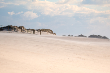 Image showing Beach sand dunes