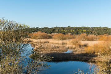 Image showing Pateira de Fermentelos