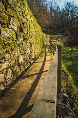 Image showing Pedestrian pathway