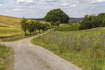 Image showing around Jagst Valley in Hohenlohe