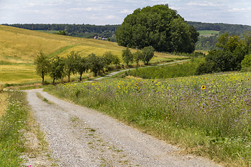 Image showing around Jagst Valley in Hohenlohe