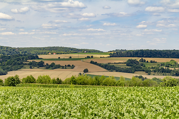 Image showing around Jagst Valley in Hohenlohe