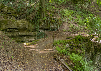 Image showing idyllic forest track