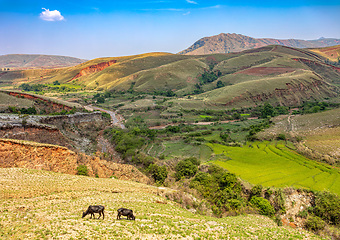 Image showing Devastated central Madagascar landscape - Mandoto, Province Vaki