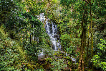 Image showing Waterfall in deep forest, Rincon de la Vieja National Costa Rica landscape