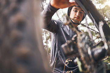 Image showing Cycling, bicycle wheel check and man doing safety maintenance before ride, travel or journey in Ukraine forest. Bike, woods or nature adventure for sports person training for race fitness bottom view