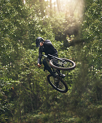 Image showing Cycling, bicycle jump and sports man travel in Japan nature forest for adventure and extreme sport journey. Trees, stunt and mountain bike rider or cyclist training in woods for exercise and fitness