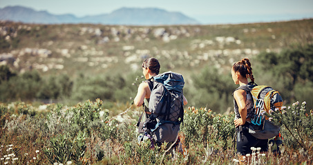 Image showing Workout friends or women hiking, fitness or exercise with walking in nature on mountain dust path. Health, training or sports girl in nature environment with freedom, trees or travel outdoor trekking