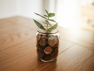 Image showing Growth, investment and economy with money and plant in a glass for financial, cash and savings planning. Future, sustainability and cash for budget, investing and finance with coins in a jar