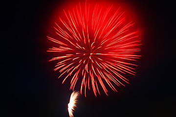 Image showing 4th of July Fireworks 5