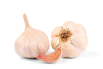 Image showing Garlic