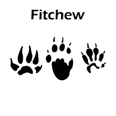 Image showing Fitchew Footprint