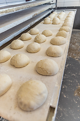 Image showing Ball of raw bread dough