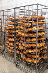 Image showing Fresh sourdough bread