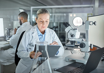 Image showing Science woman, expert and tablet laboratory research, medical innovation and biology test online. Senior, focus and analytics scientist, physics worker and digital data planning for medicine analysis