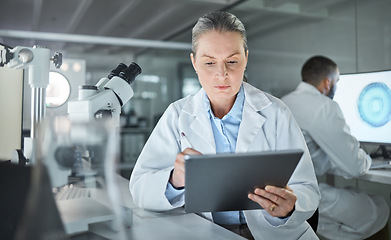 Image showing Science, tablet and innovation with a woman engineer doing research in a medical laboratory. Analytics, internet and technology with a doctor or scientist working on future development in her lab