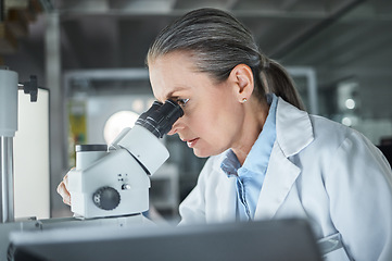 Image showing Woman, scientist and microscope at a research lab with medical analytics. Cell doctor or biotechnology researcher working in the healthcare, dna or medicine laboratory in a modern science facility