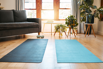 Image showing Yoga mat, home workout and empty space background in house for exercise, fitness and pilates on living room floor. Apartment interior lounge for sports training, body wellness and healthy lifestyle