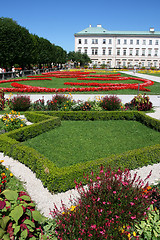 Image showing Flower garden