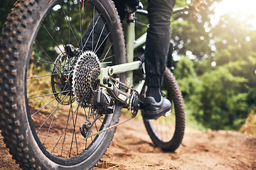 Image showing Bicycle, forest and wheels on a dirt road trail for fitness, adventure workout and exercise. Closeup of a sports bike, outdoor sand track and tire with an athlete cycling in nature for fun and health