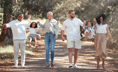 Image showing Big family walking in park holding hands for love, support and care on summer travel vacation in forest nature. Wellness, health and child development with grandparents and children or kids in woods