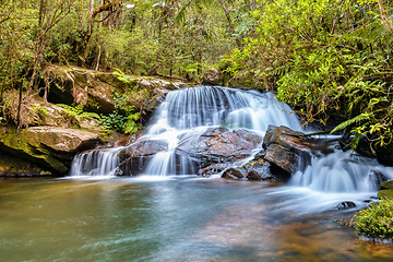 Image showing Rain forest waterfall, Madagascar wilderness landscape