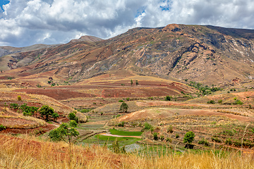 Image showing Devastated central Madagascar landscape - Mandoto, Province Vakinankaratra