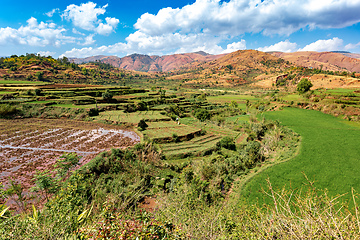 Image showing Central Madagascar landscape - Betafo, Vakinankaratra Madagascar