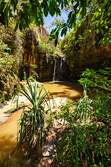 Image showing Rain forest waterfall, Madagascar wilderness landscape