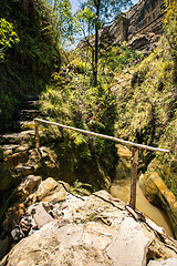 Image showing Rain forest stone stairs, Isalo national park, Madagascar wilderness landscape