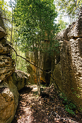 Image showing Petit Tsingy de Bemaraha, amazing landscape, Madagascar wilderness landscape