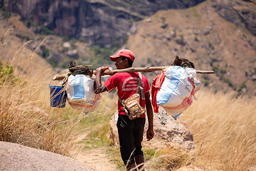 Image showing Malagasy porter carries belongings for tourists. Andringitra Mountains